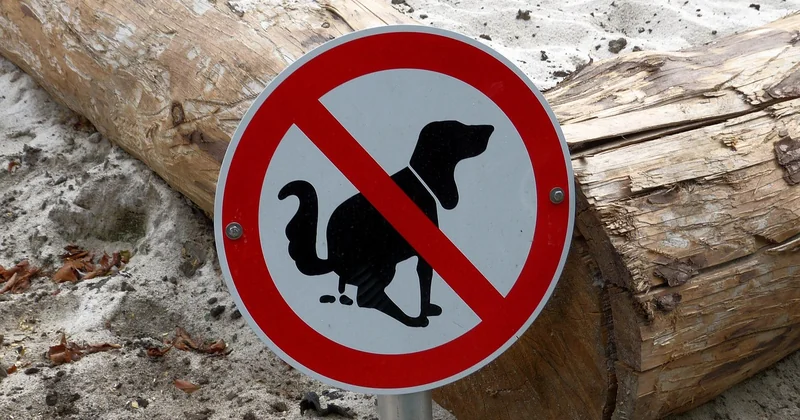 Comment lire les signaux avant qu'il ne les crie