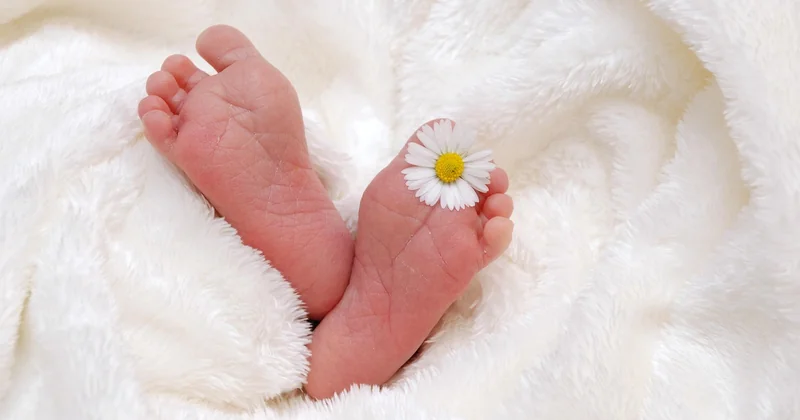 Naissance, âge et parcours : ce que les dates disent