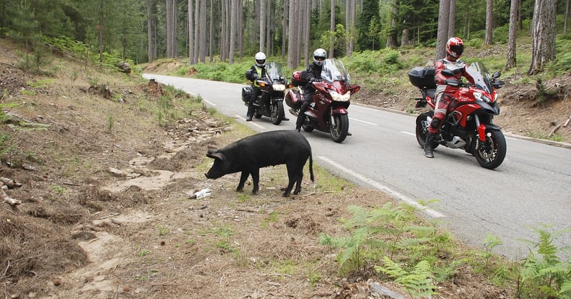Rejoindre un club biker en France : le guide complet