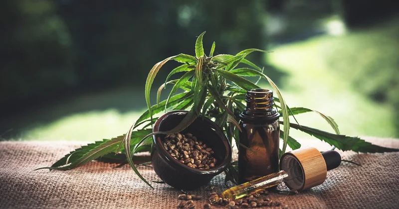 Le prix : ce que coûte vraiment un producteur de CBD français