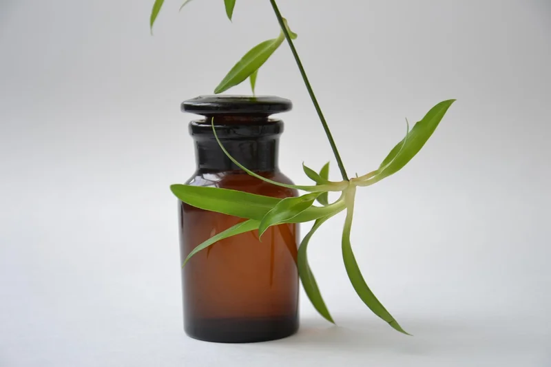 Alternatives en pharmacie : les compléments que j'ai testés