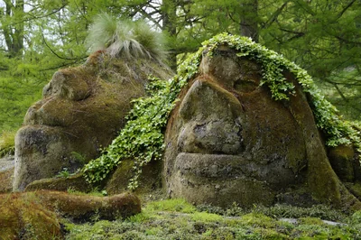 les trolls