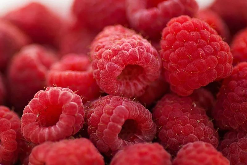 Comment choisir la bonne djellaba rouge ?